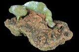 Gemmy, Yellow-Green Adamite Crystals - Durango, Mexico #88893-1